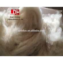 dehaired raw blended color sheep wool cashmere fibers for sweater yarn